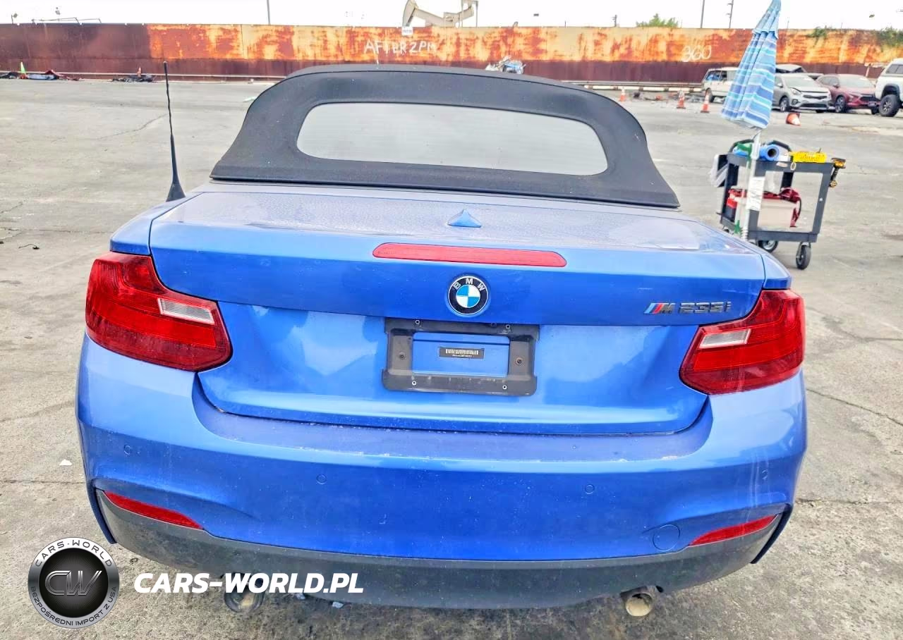 2015 BMW M235I VIN:WBA1M1C58FV393521 - 6