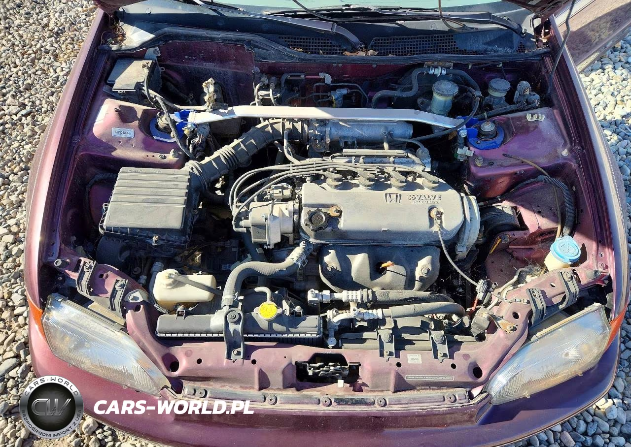 1994 Honda Civic Dx VIN:1HGEJ2126RL020149 - 11