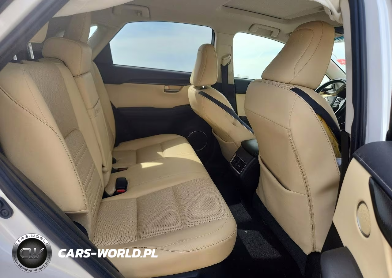 2016 Lexus Nx 200T Base VIN:JTJBARBZ5G2059014 - 10