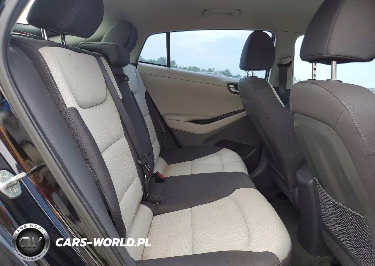 2017 Hyundai Ioniq Sel VIN:KMHC75LC6HU047674 - 10