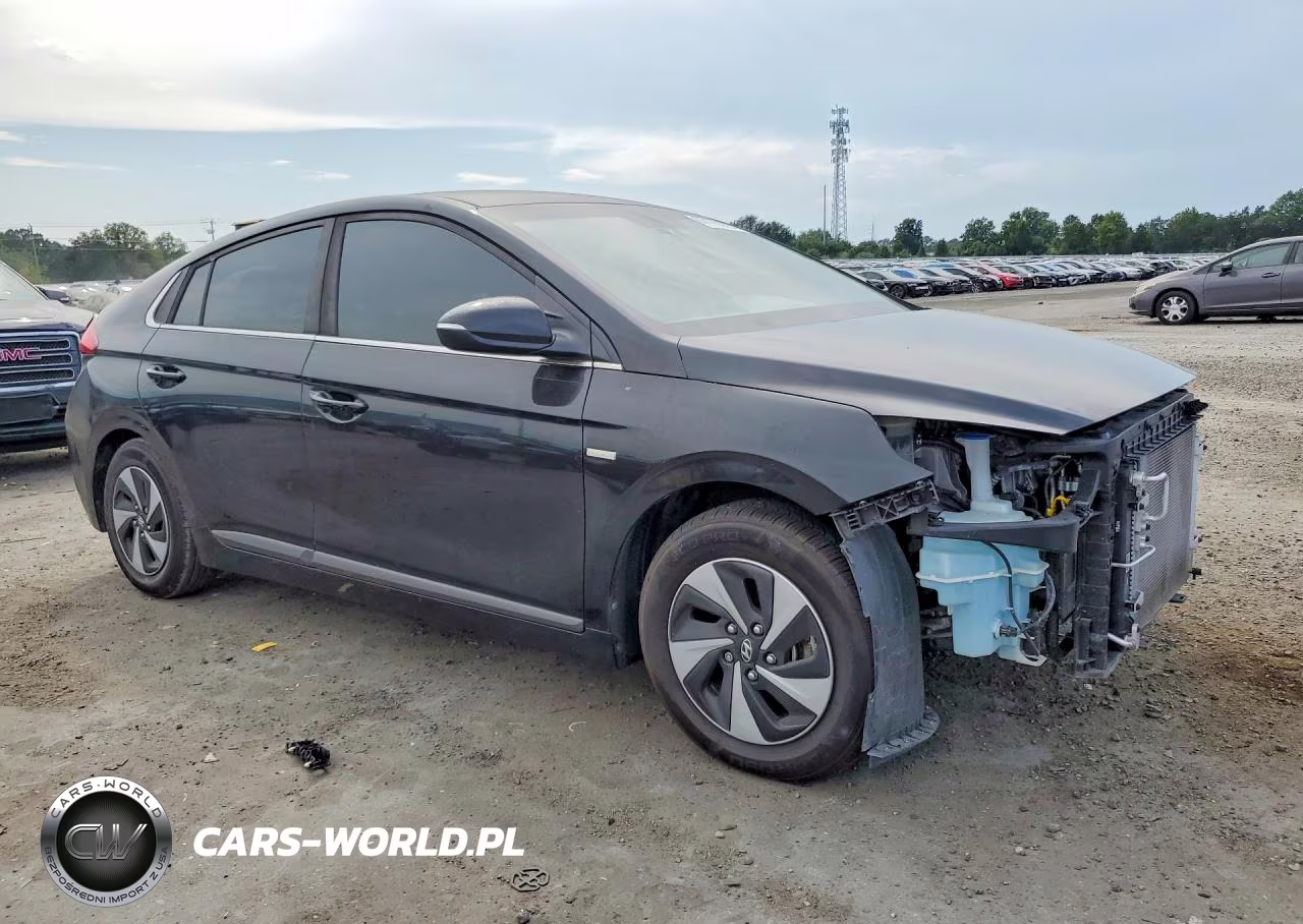 2017 Hyundai Ioniq Sel VIN:KMHC75LC6HU047674 - 4