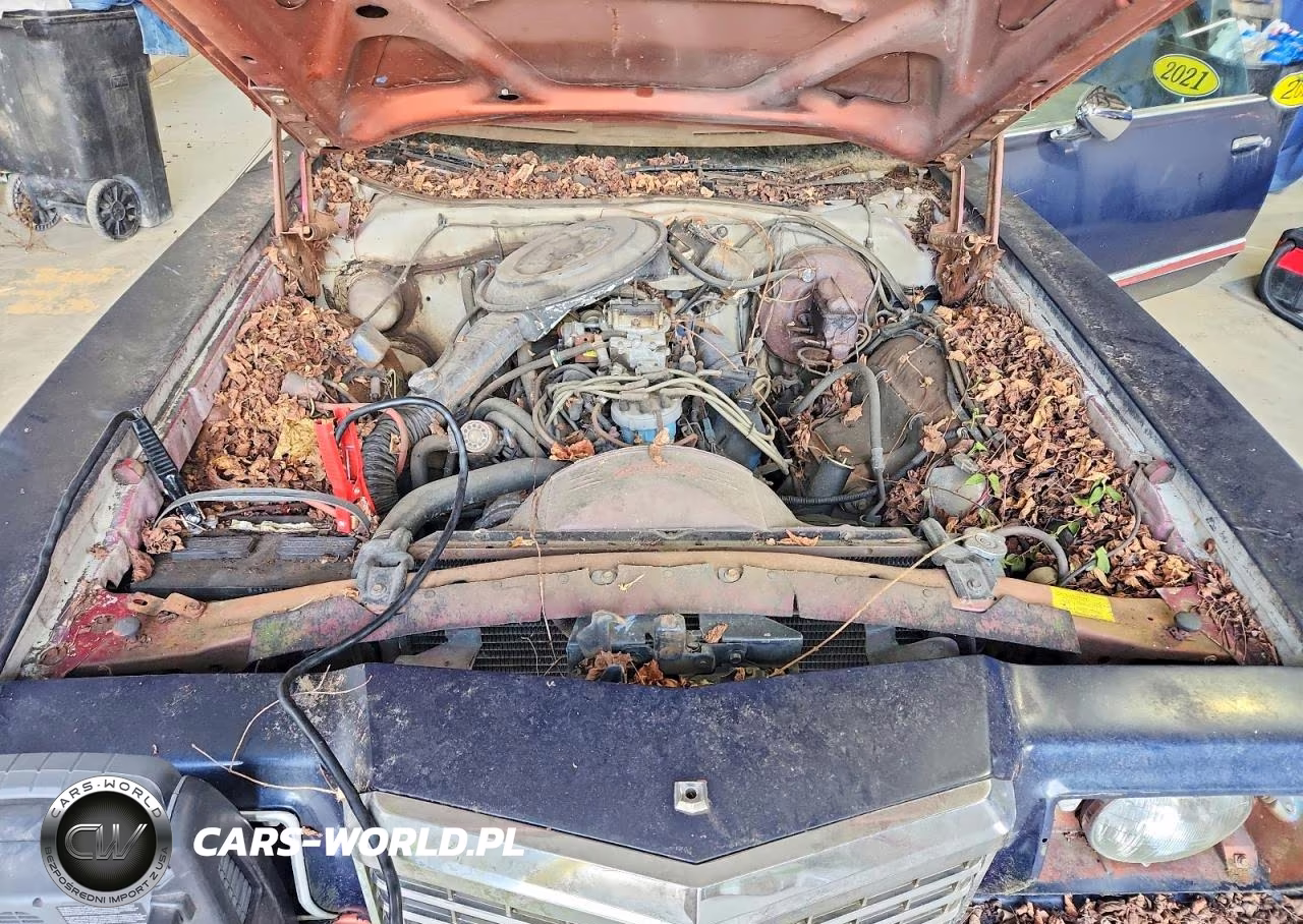 1978 Ford Thunderbird VIN:8G87F274293 - 11