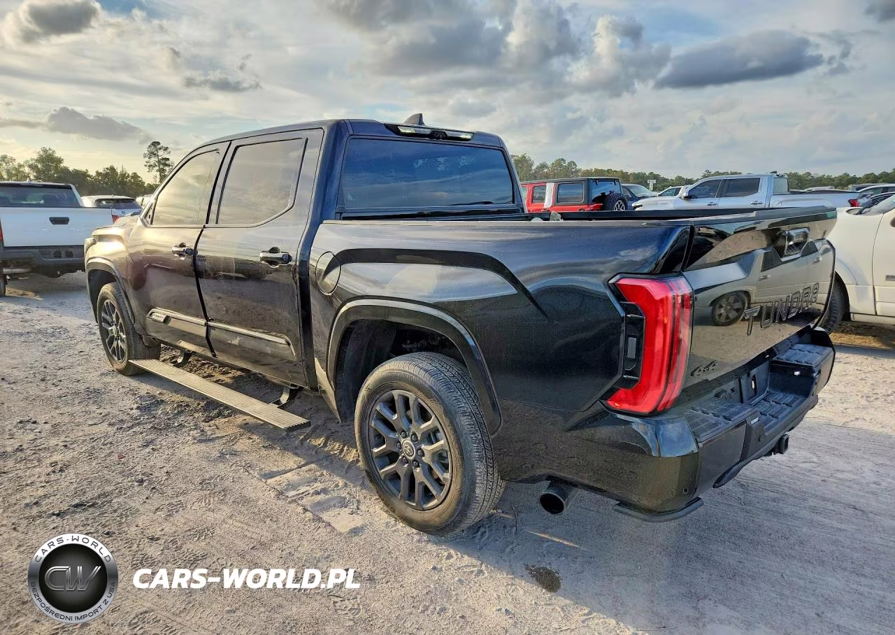 2024 Toyota Tundra Crewmax Platinum VIN:5TFNC5DB9RX0795XX - 2