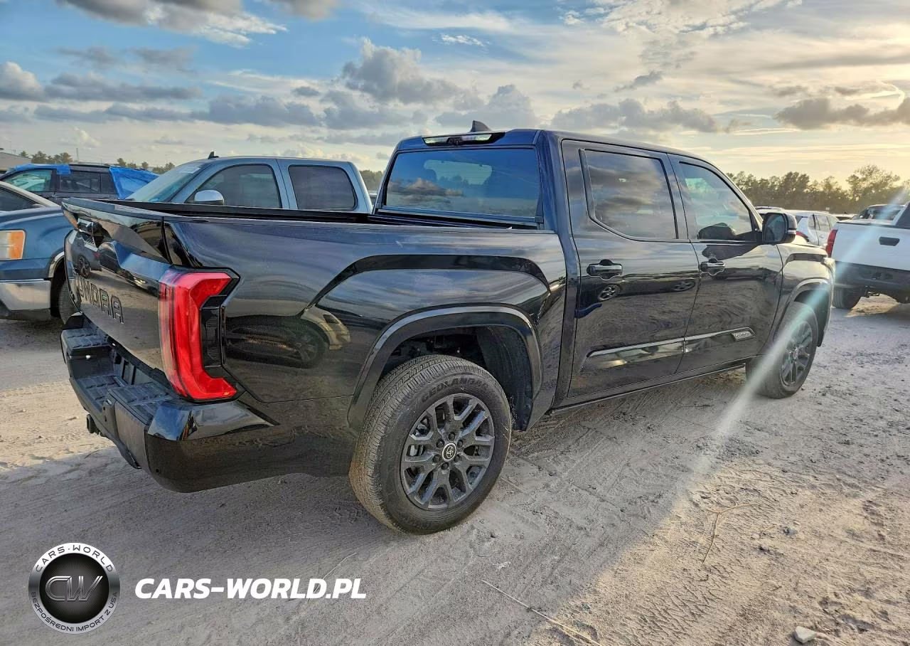2024 Toyota Tundra Crewmax Platinum VIN:5TFNC5DB9RX0795XX - 3