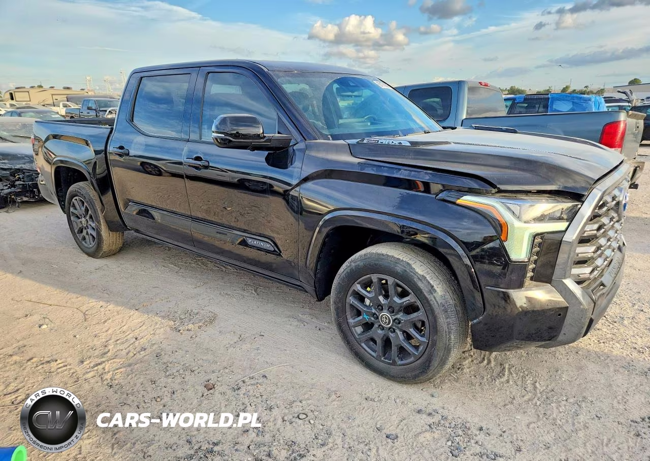 2024 Toyota Tundra Crewmax Platinum VIN:5TFNC5DB9RX0795XX - 4