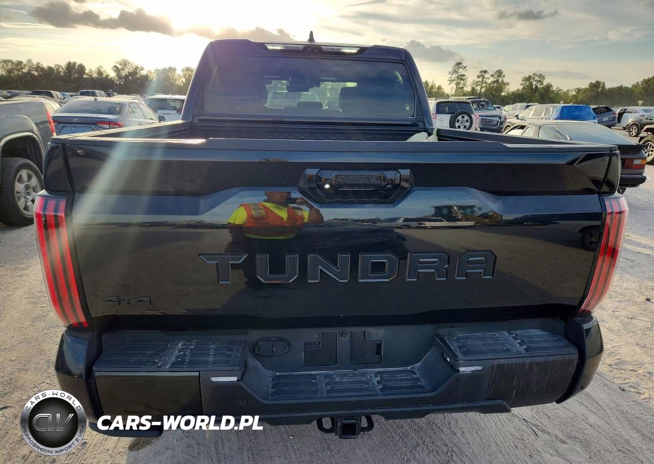 2024 Toyota Tundra Crewmax Platinum VIN:5TFNC5DB9RX0795XX - 6