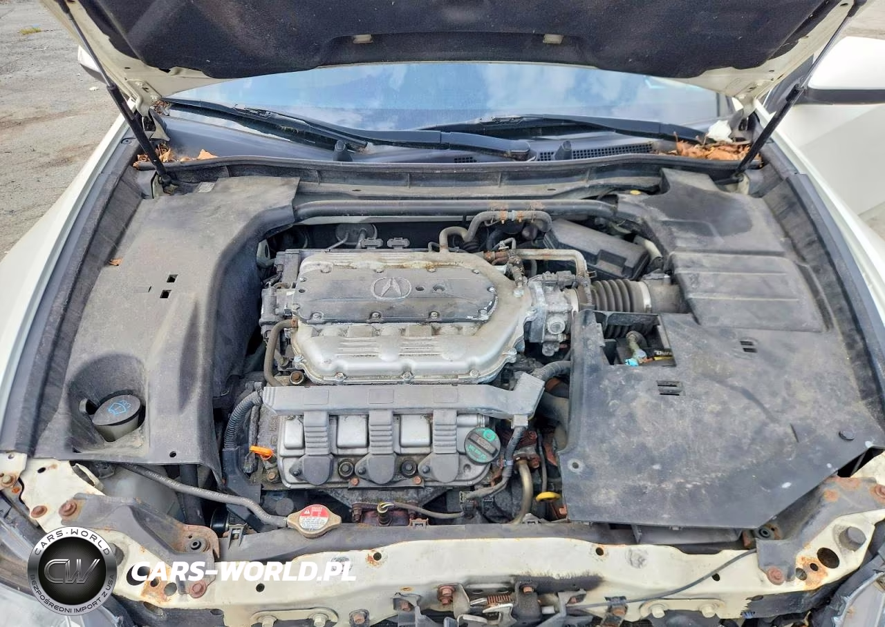 2010 Acura Tsx VIN:JH4CU4F63AC000304 - 11