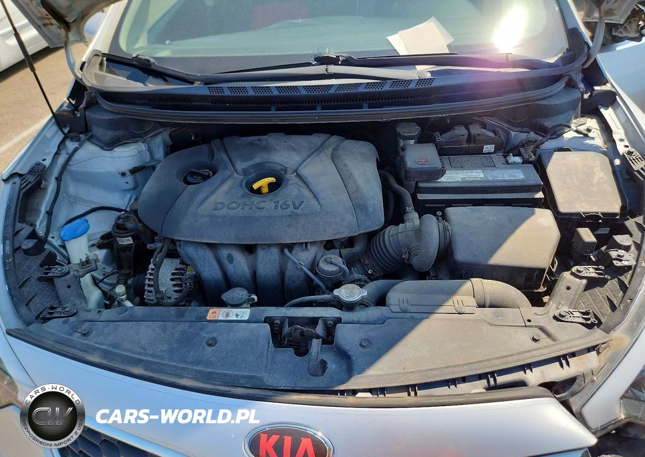 2014 Kia Forte Lx VIN:KNAFK4A68E5147480 - 11