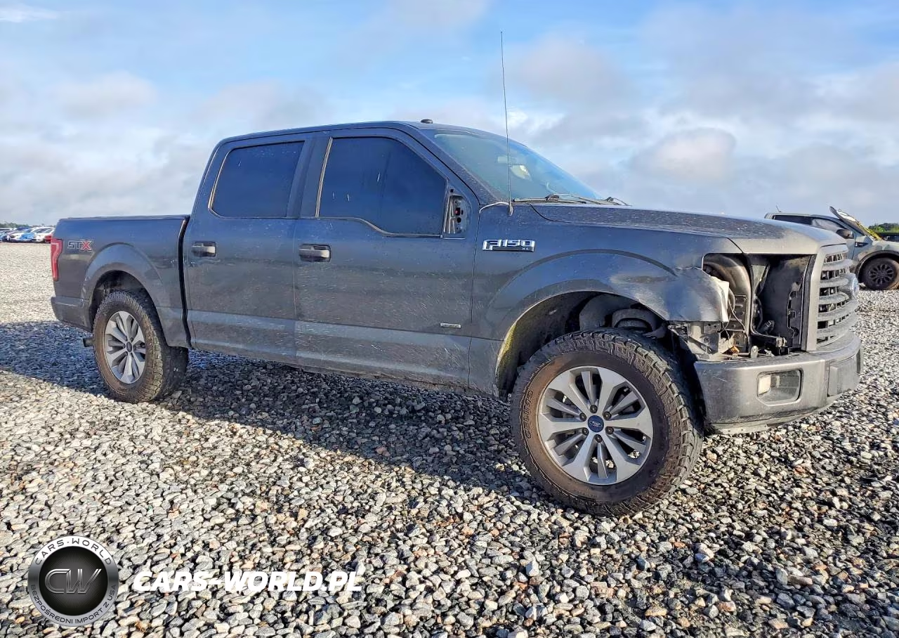 2017 Ford F150 Supercrew VIN:1FTEW1CP9HKE06040 - 4