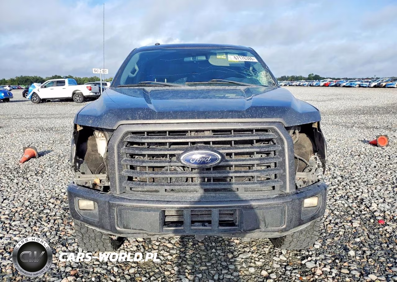 2017 Ford F150 Supercrew VIN:1FTEW1CP9HKE06040 - 5