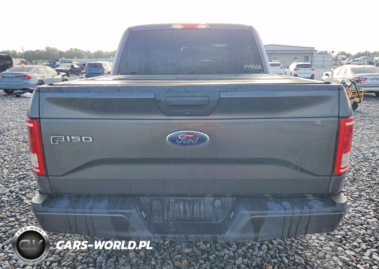 2017 Ford F150 Supercrew VIN:1FTEW1CP9HKE06040 - 6