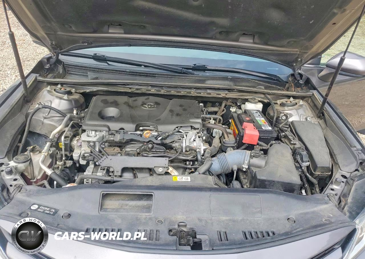 2019 Toyota Camry Le VIN:4T1B11HK7KU850281 - 11