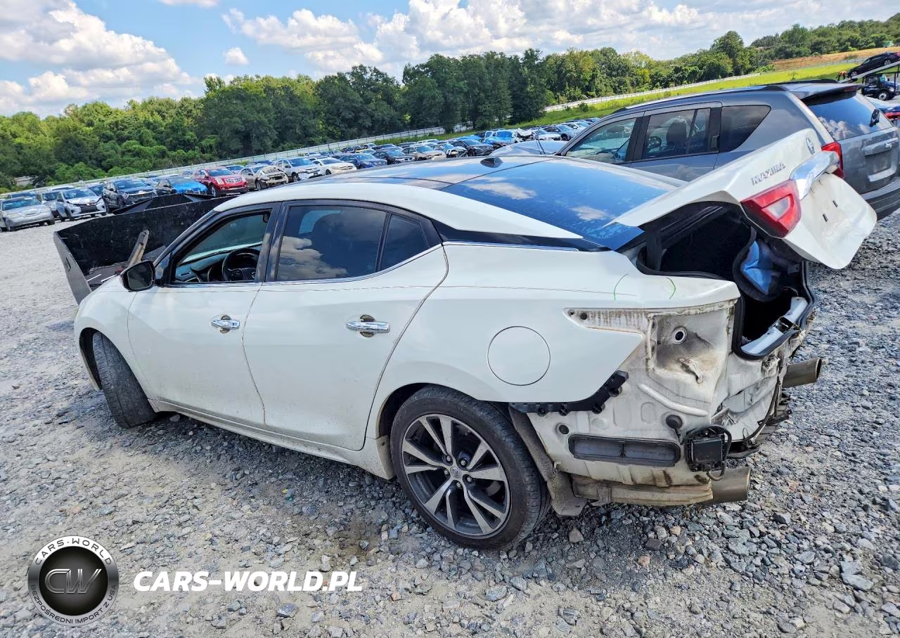 2017 Nissan Maxima Platinum VIN:1N4AA6AP1HC371748 - 2