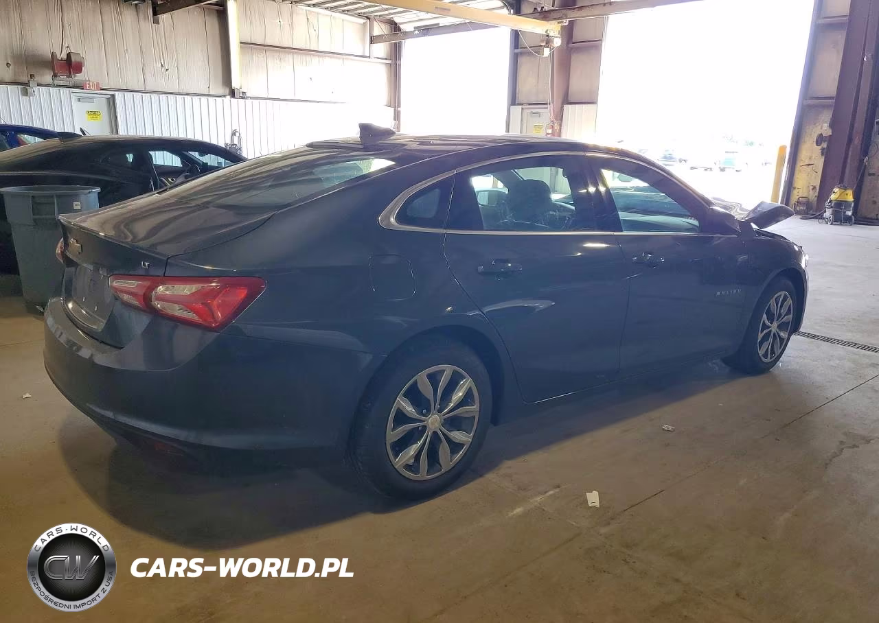 2019 Chevrolet Malibu Lt VIN:1G1ZD5STXKF137715 - 3