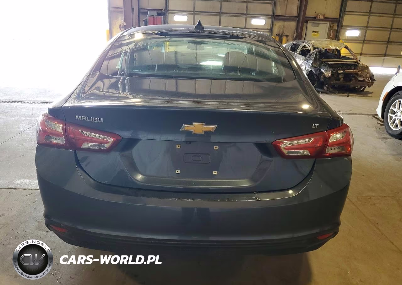 2019 Chevrolet Malibu Lt VIN:1G1ZD5STXKF137715 - 6