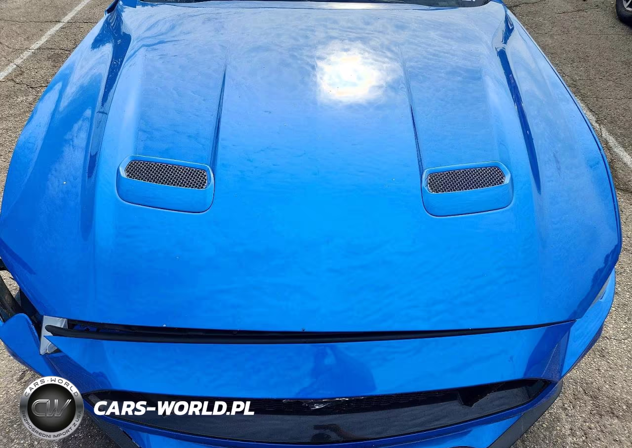 2019 Ford Mustang Gt VIN:1FA6P8CFXK5117231 - 11