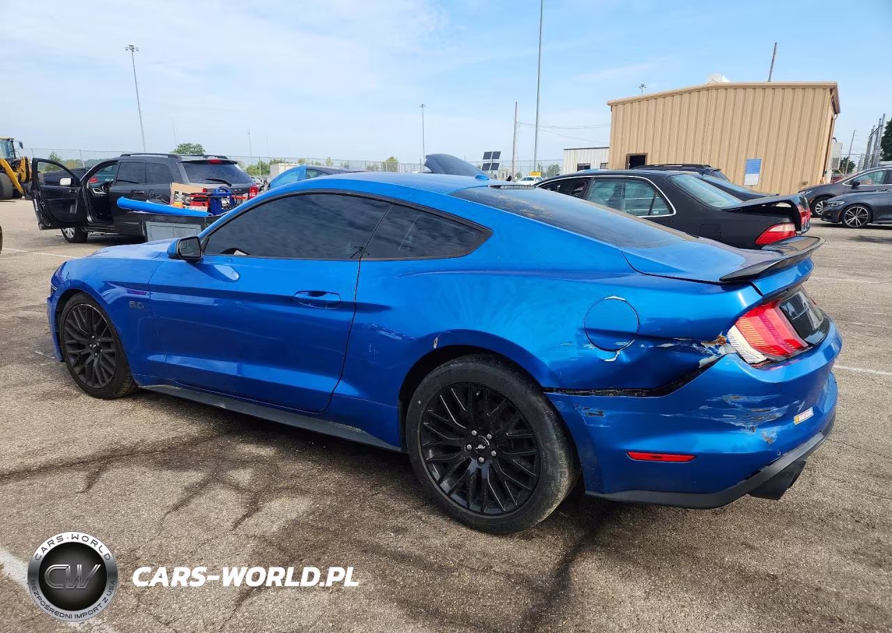 2019 Ford Mustang Gt VIN:1FA6P8CFXK5117231 - 2