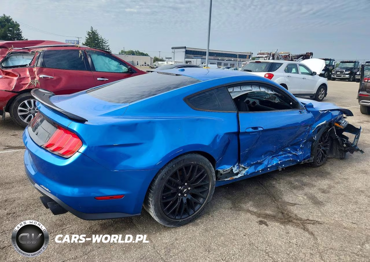 2019 Ford Mustang Gt VIN:1FA6P8CFXK5117231 - 3