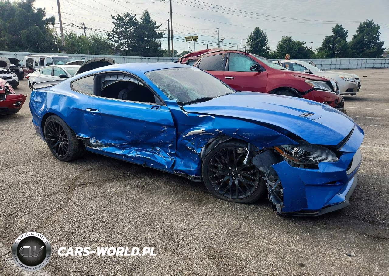 2019 Ford Mustang Gt VIN:1FA6P8CFXK5117231 - 4