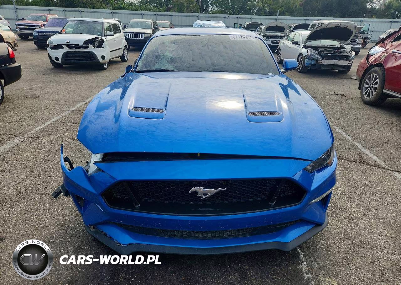 2019 Ford Mustang Gt VIN:1FA6P8CFXK5117231 - 5