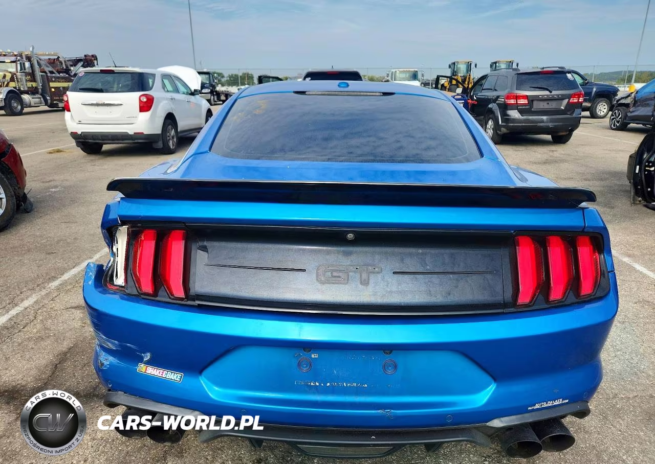 2019 Ford Mustang Gt VIN:1FA6P8CFXK5117231 - 6