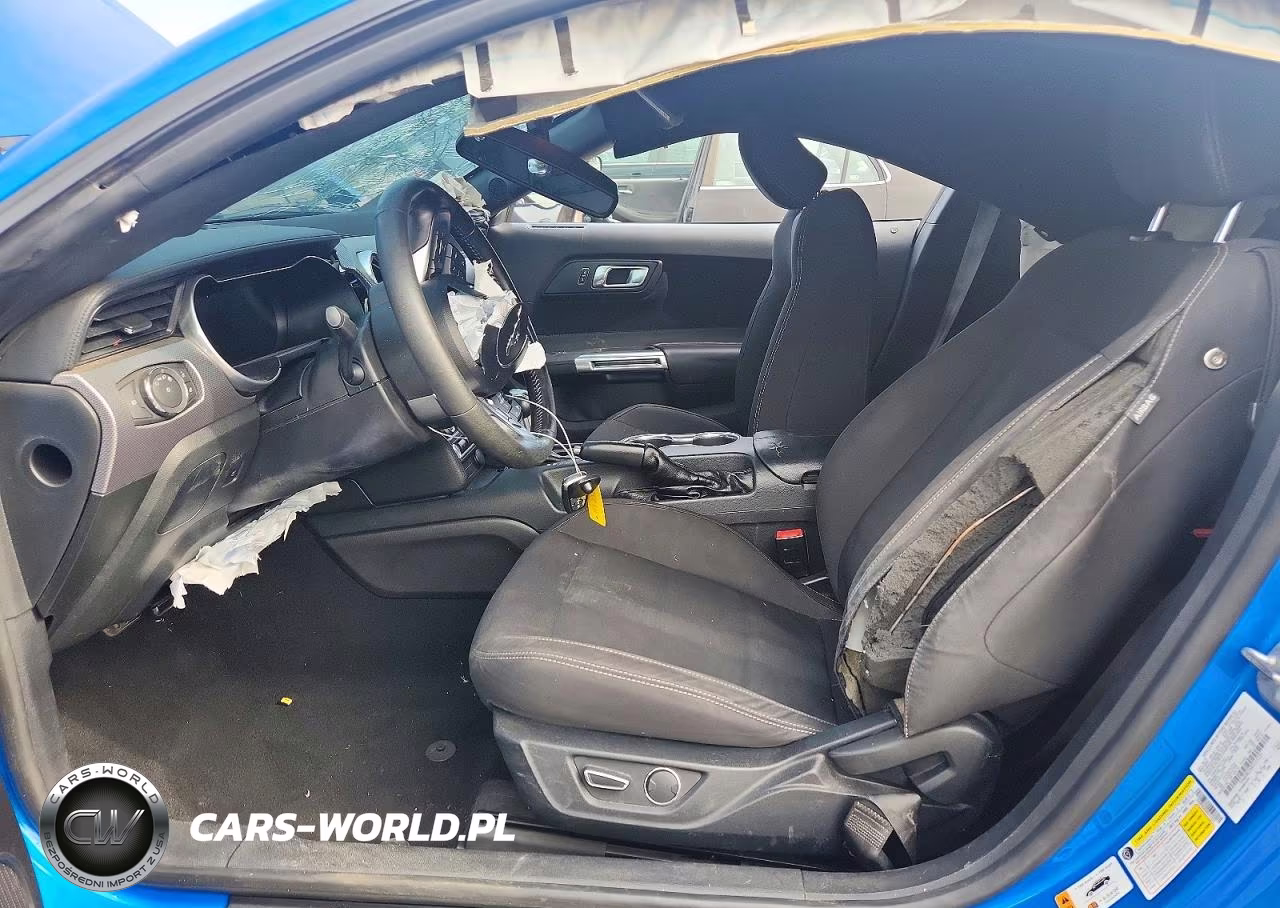 2019 Ford Mustang Gt VIN:1FA6P8CFXK5117231 - 7
