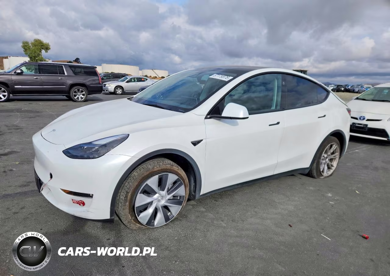 2024 Tesla Model Y VIN:7SAYGDEE5RF989036 - 1