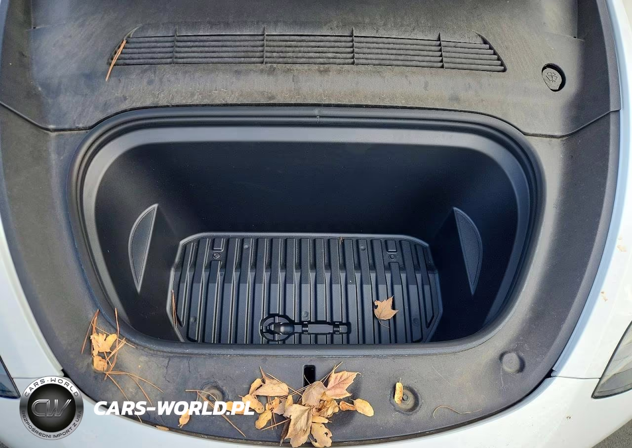 2024 Tesla Model Y VIN:7SAYGDEE5RF989036 - 11