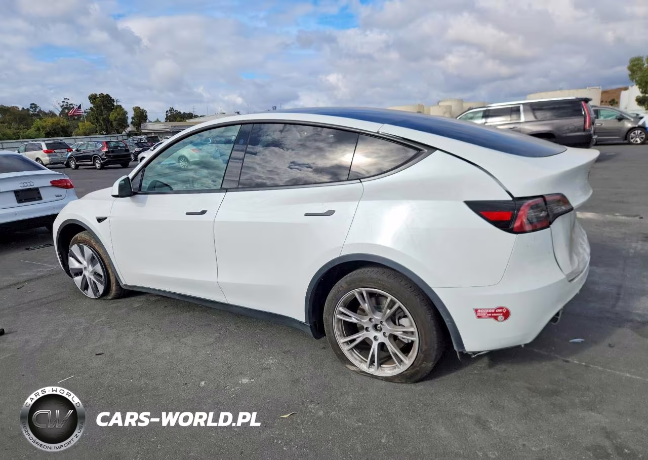 2024 Tesla Model Y VIN:7SAYGDEE5RF989036 - 2