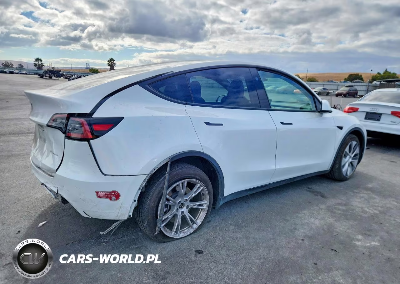 2024 Tesla Model Y VIN:7SAYGDEE5RF989036 - 3