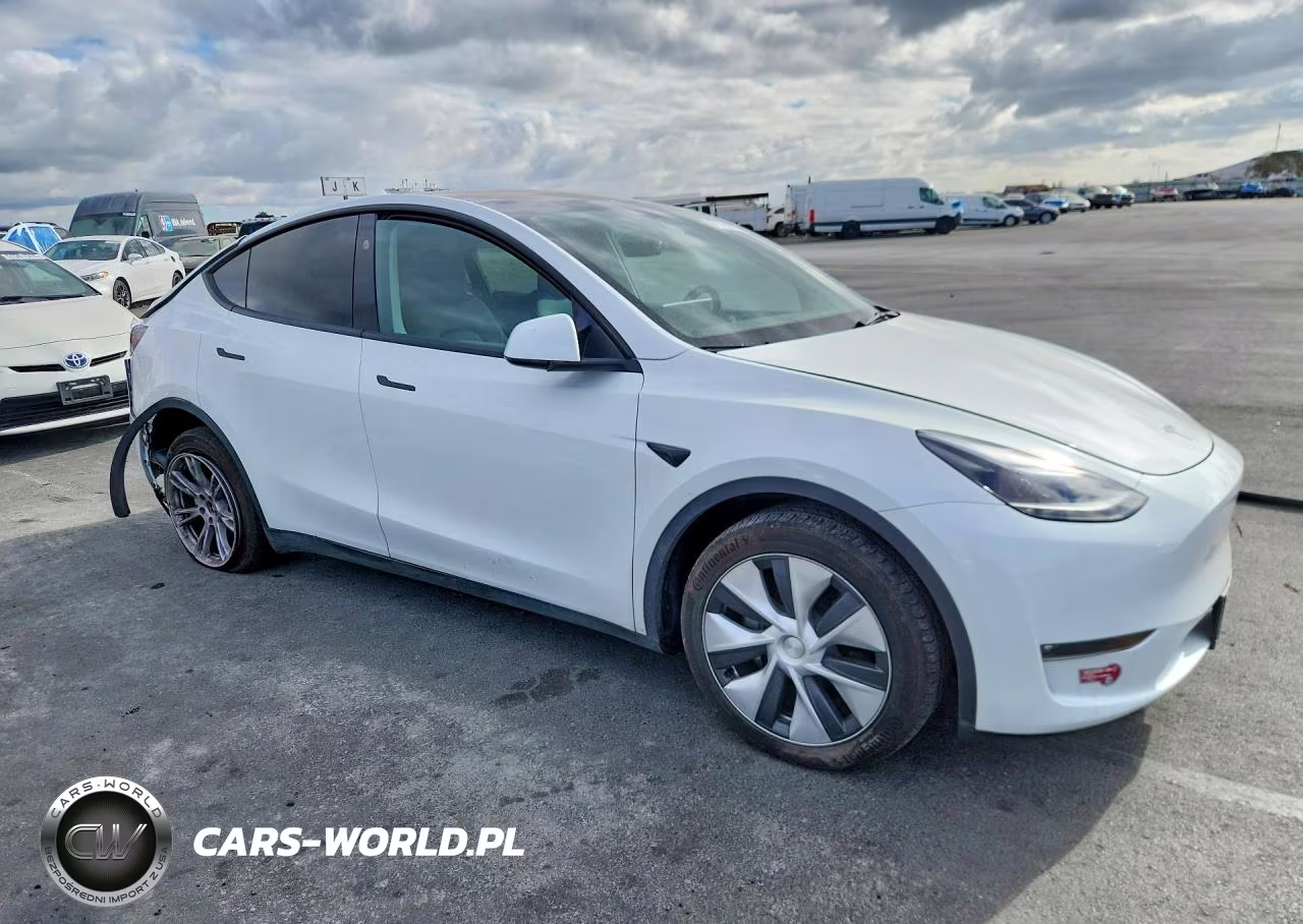 2024 Tesla Model Y VIN:7SAYGDEE5RF989036 - 4