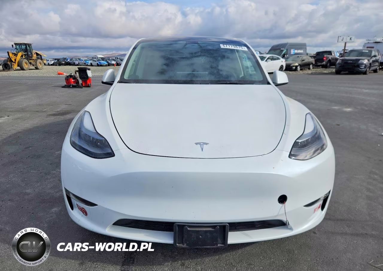 2024 Tesla Model Y VIN:7SAYGDEE5RF989036 - 5
