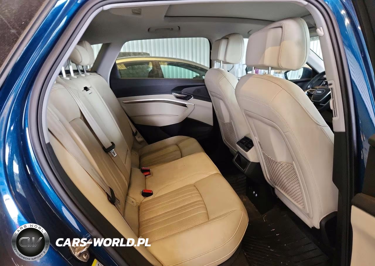 2019 Audi E-Tron Premium Plus VIN:WA1LABGEXKB011533 - 11