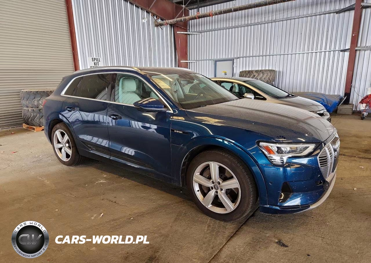 2019 Audi E-Tron Premium Plus VIN:WA1LABGEXKB011533 - 4