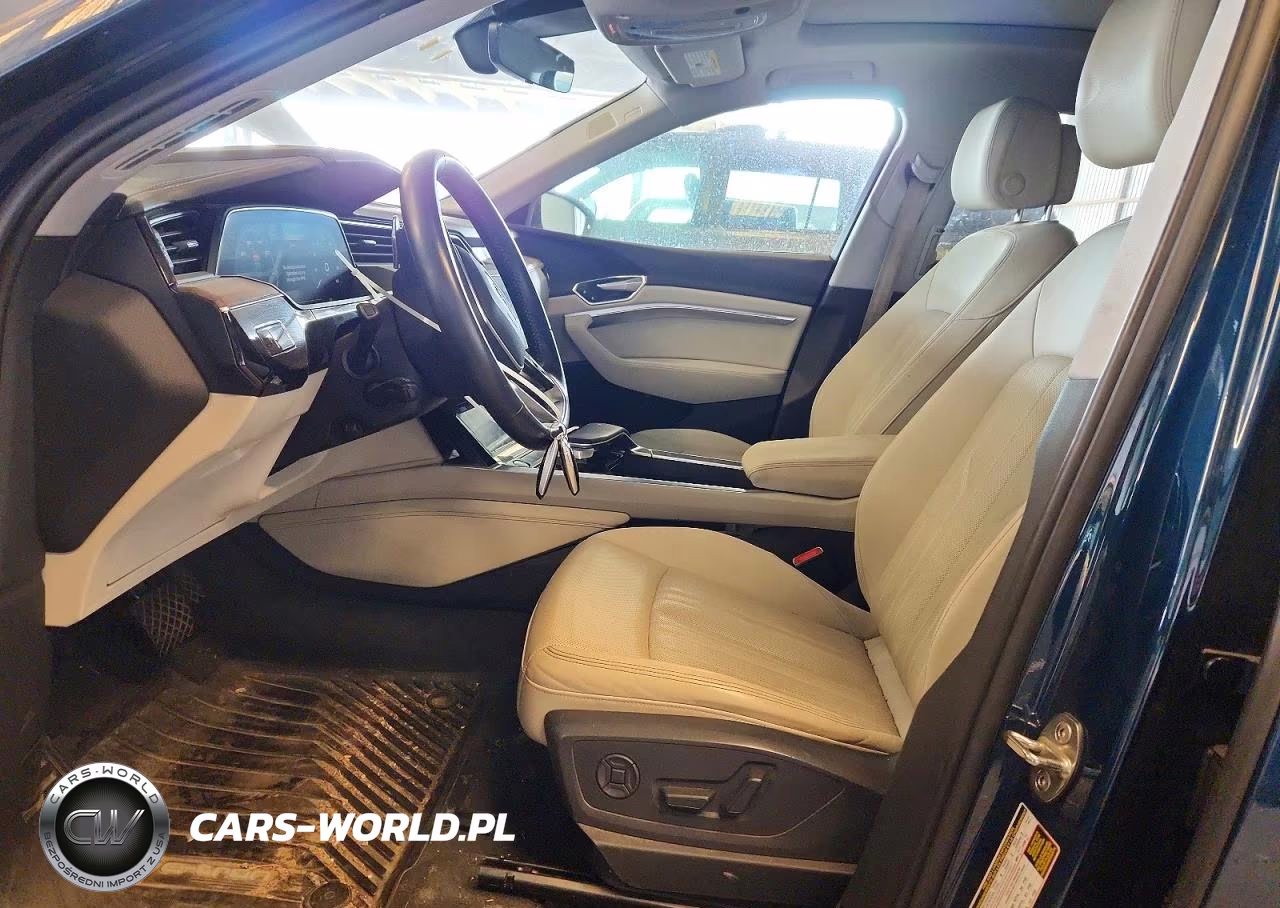2019 Audi E-Tron Premium Plus VIN:WA1LABGEXKB011533 - 7
