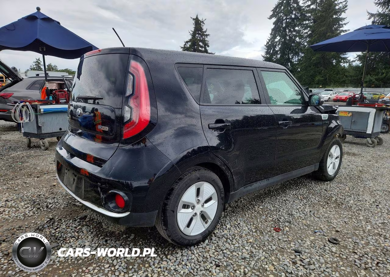 2016 Kia Soul Ev Base VIN:KNDJP3AE8G7013527 - 3