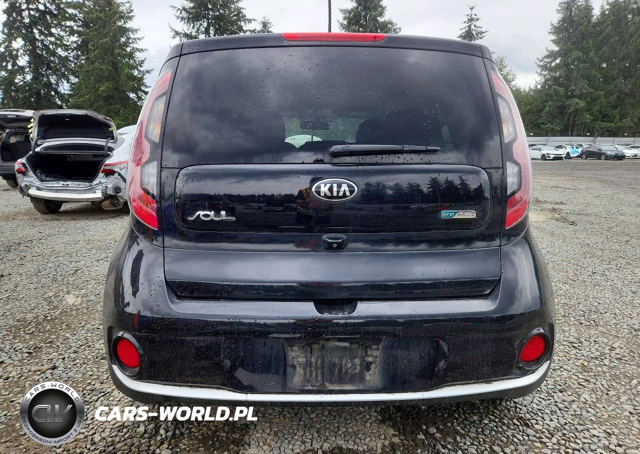 2016 Kia Soul Ev Base VIN:KNDJP3AE8G7013527 - 6