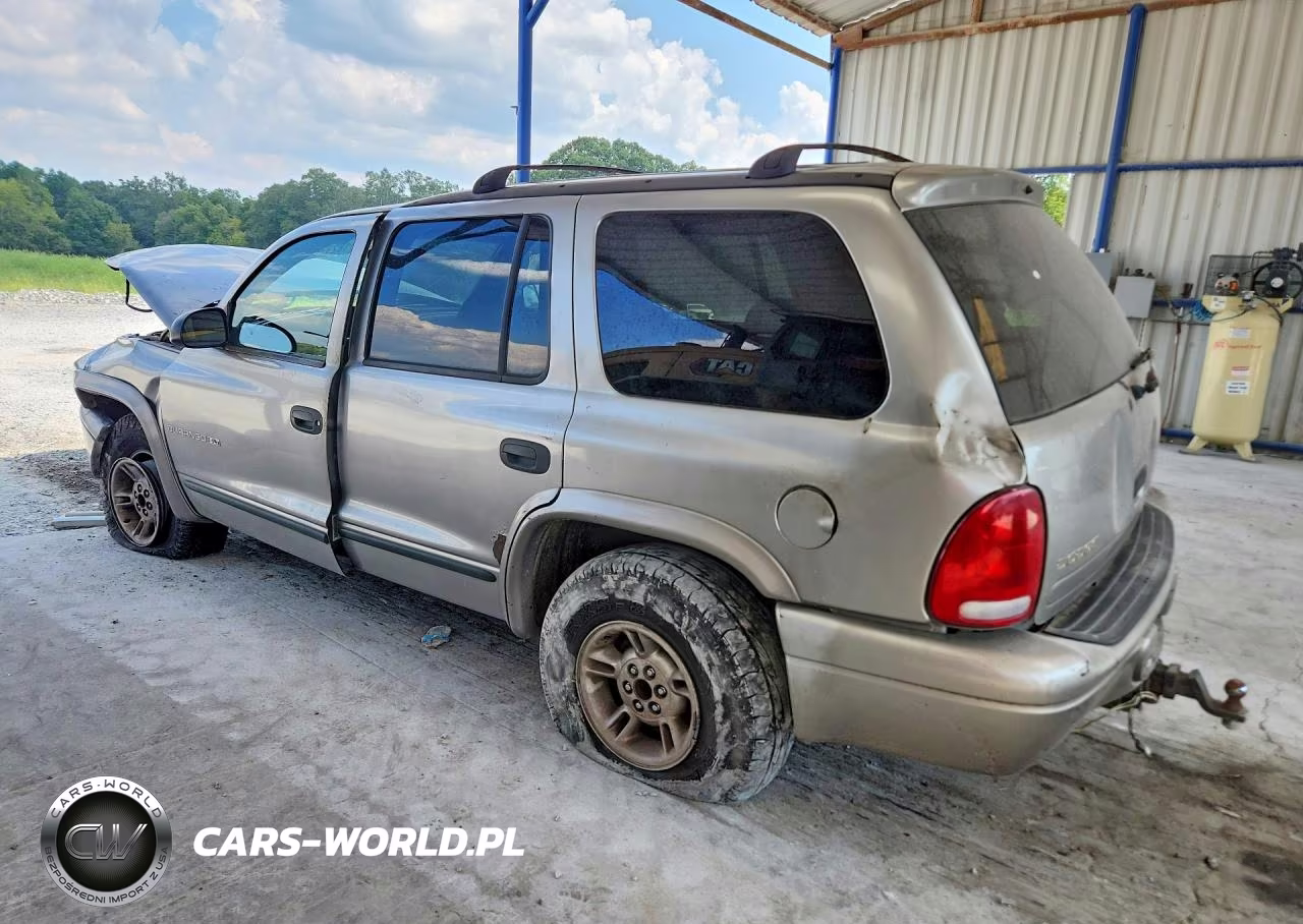 1999 Dodge Durango VIN:1B4HS28Y4XF613648 - 2