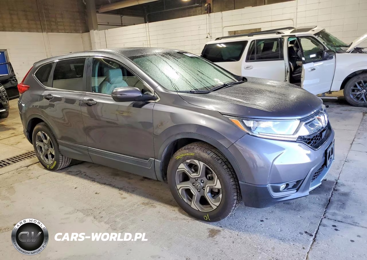 2019 Honda Cr-V Exl VIN:5J6RW2H89KL023168 - 4
