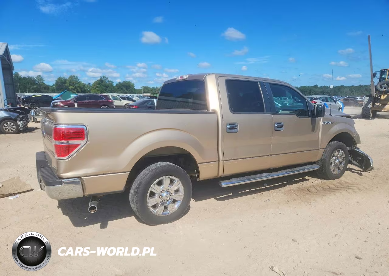 2013 Ford F150 Supercrew VIN:1FTEW1CM7DFC62495 - 3