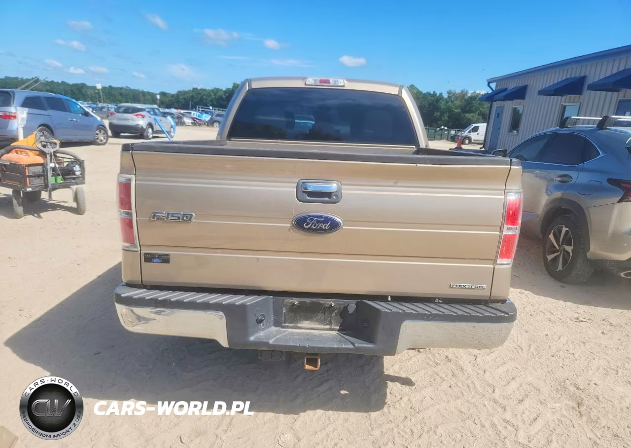 2013 Ford F150 Supercrew VIN:1FTEW1CM7DFC62495 - 6