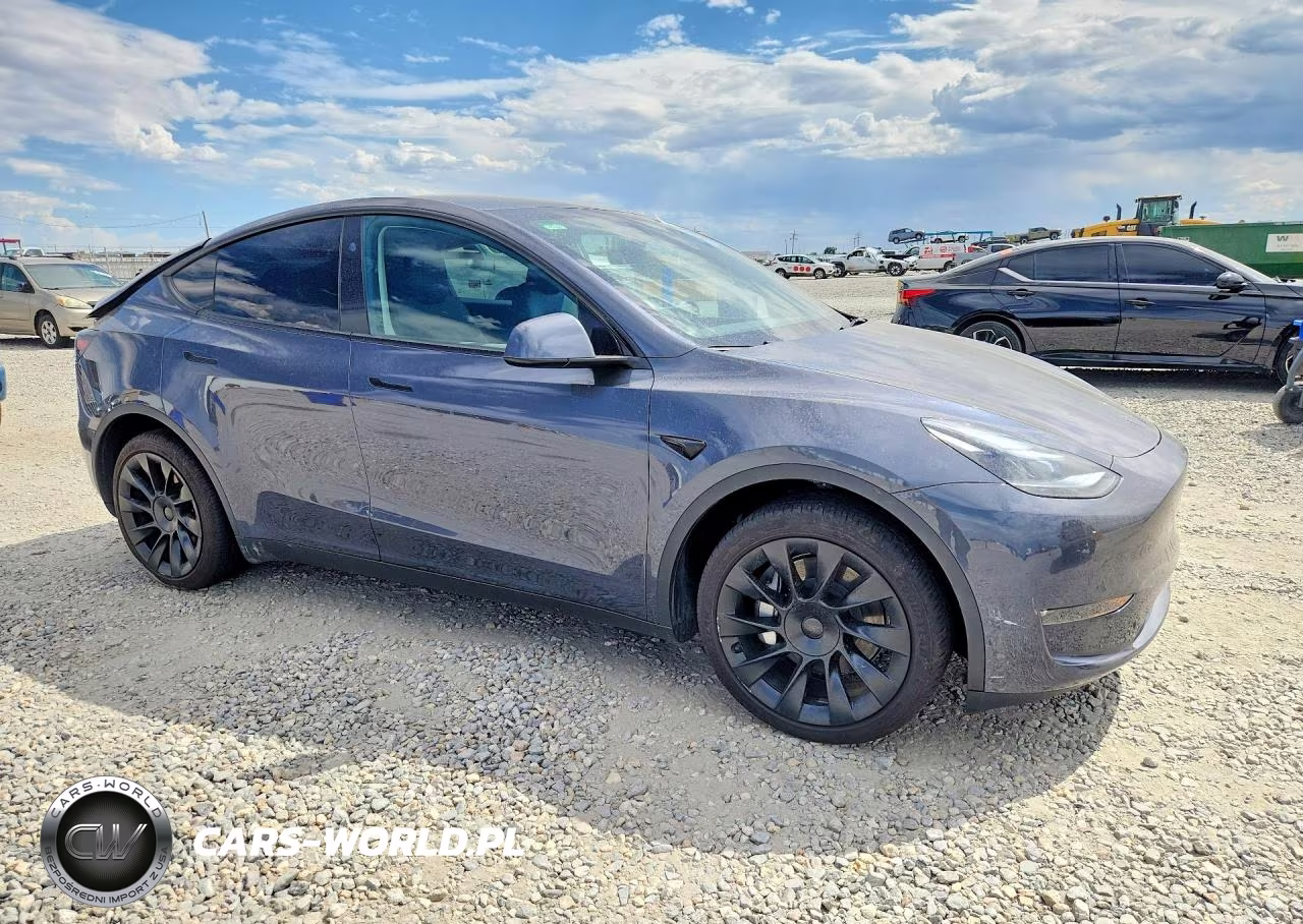 2023 Tesla Model Y VIN:7SAYGDEE7PA205434 - 4