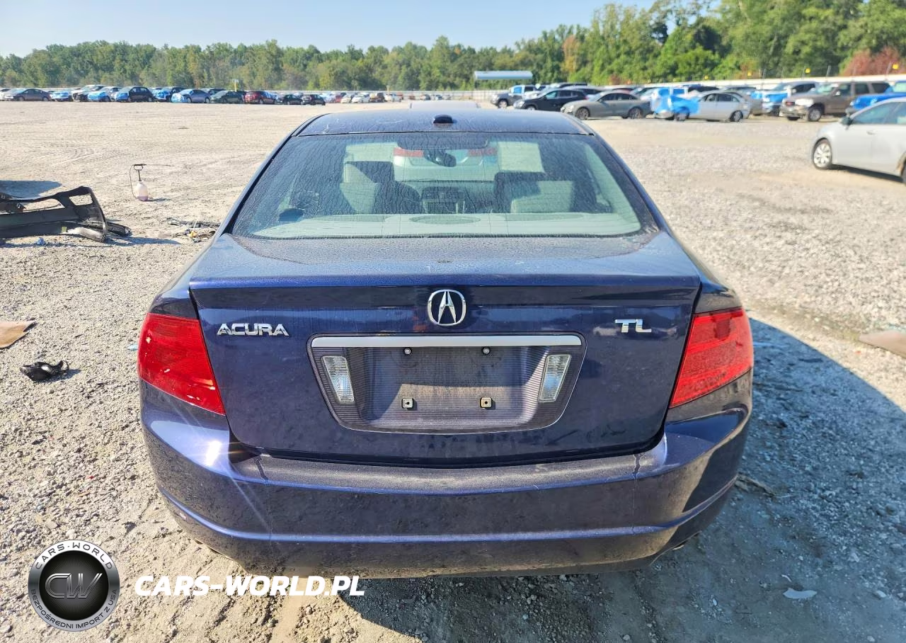 2006 Acura 3.2Tl VIN:19UUA66206A077420 - 6