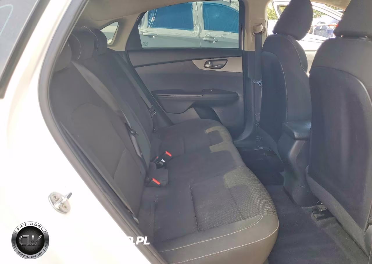 2019 Kia Forte Lxs VIN:3KPF24AD9KE071026 - 10