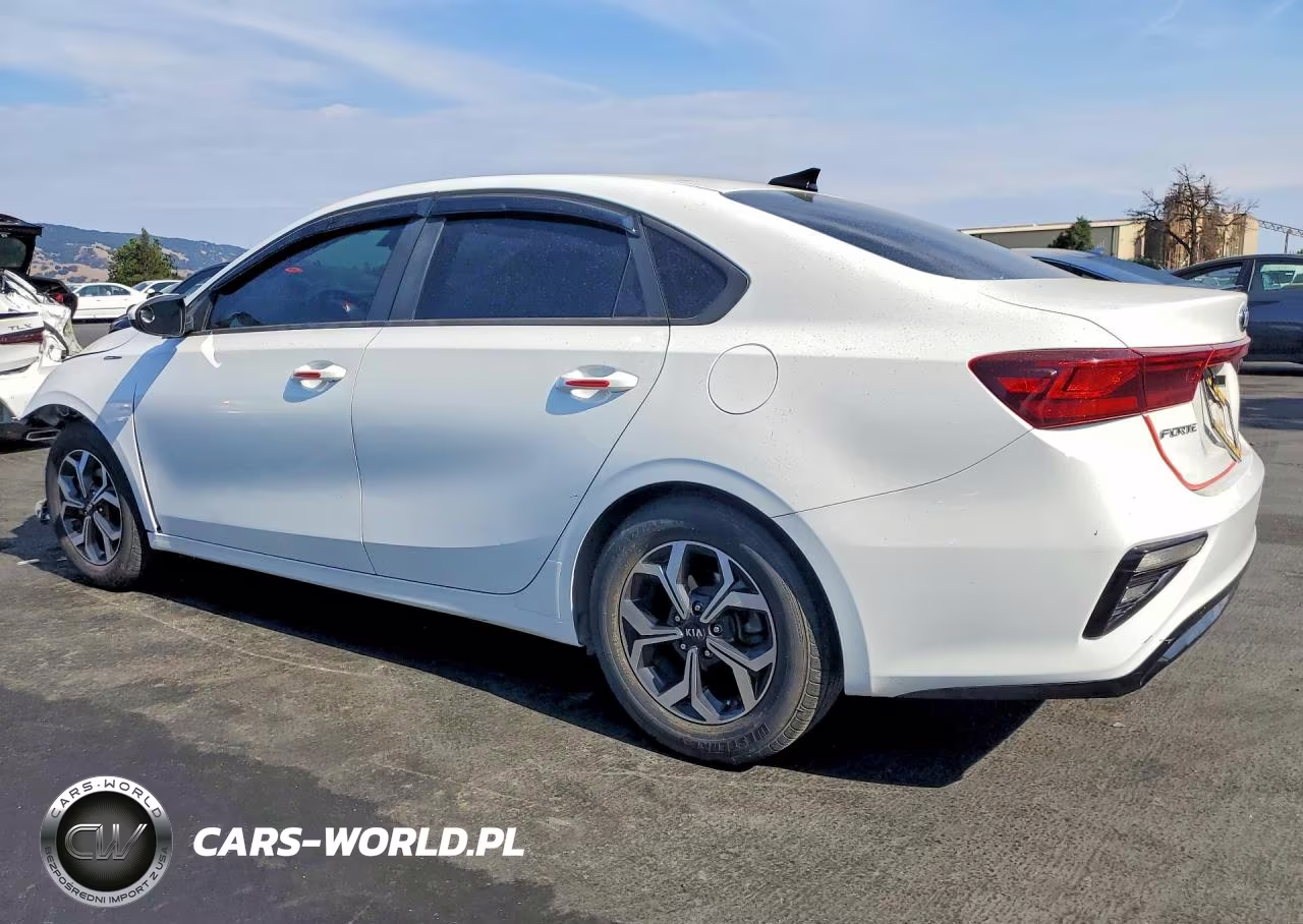 2019 Kia Forte Lxs VIN:3KPF24AD9KE071026 - 2