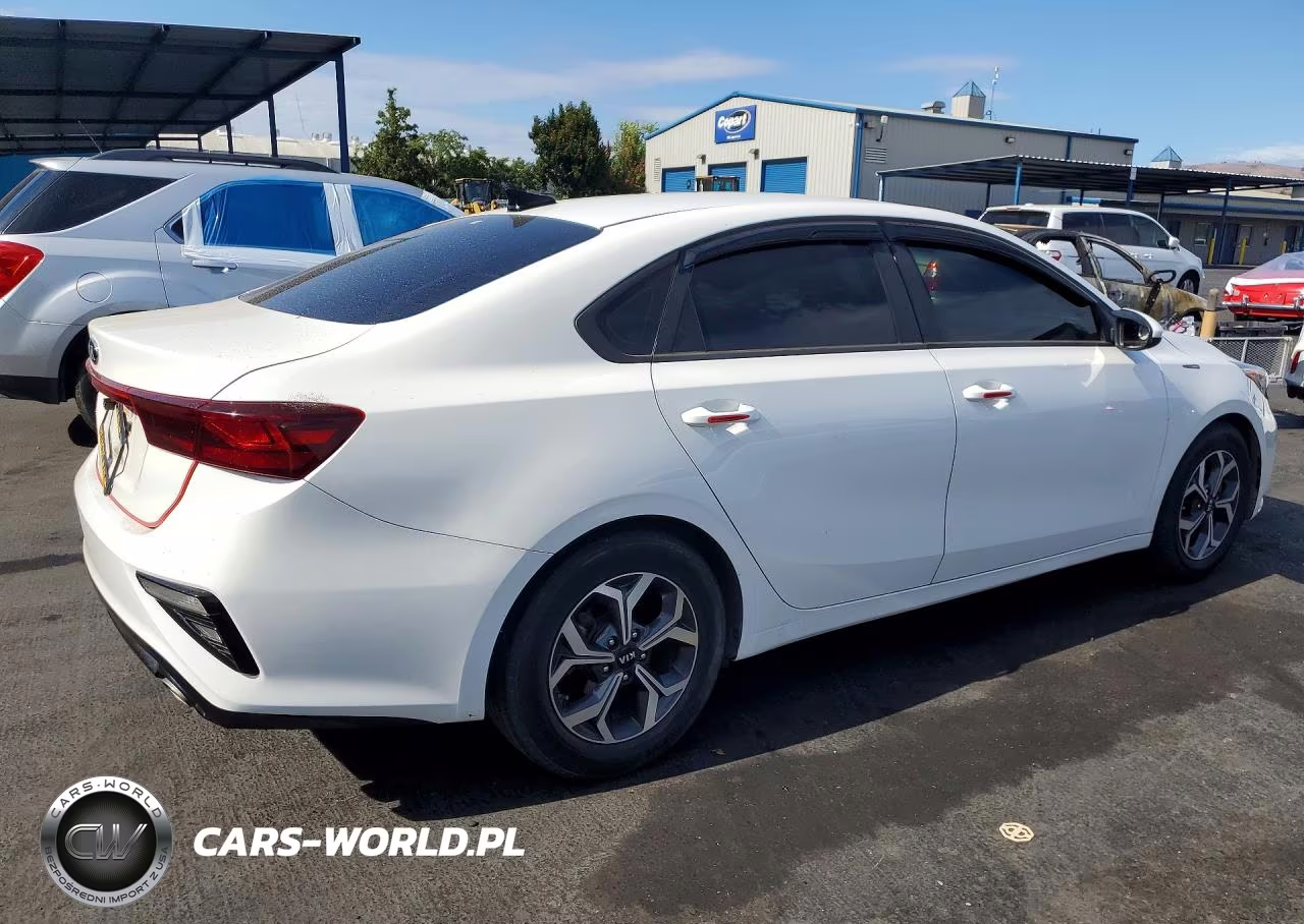 2019 Kia Forte Lxs VIN:3KPF24AD9KE071026 - 3