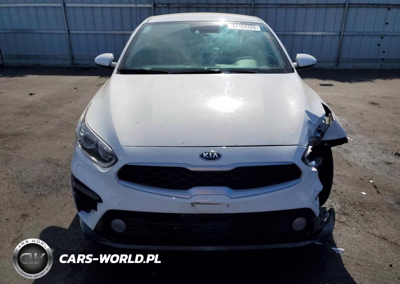 2019 Kia Forte Lxs VIN:3KPF24AD9KE071026 - 5