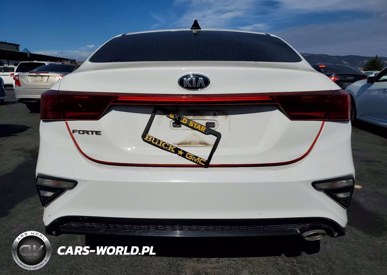 2019 Kia Forte Lxs VIN:3KPF24AD9KE071026 - 6