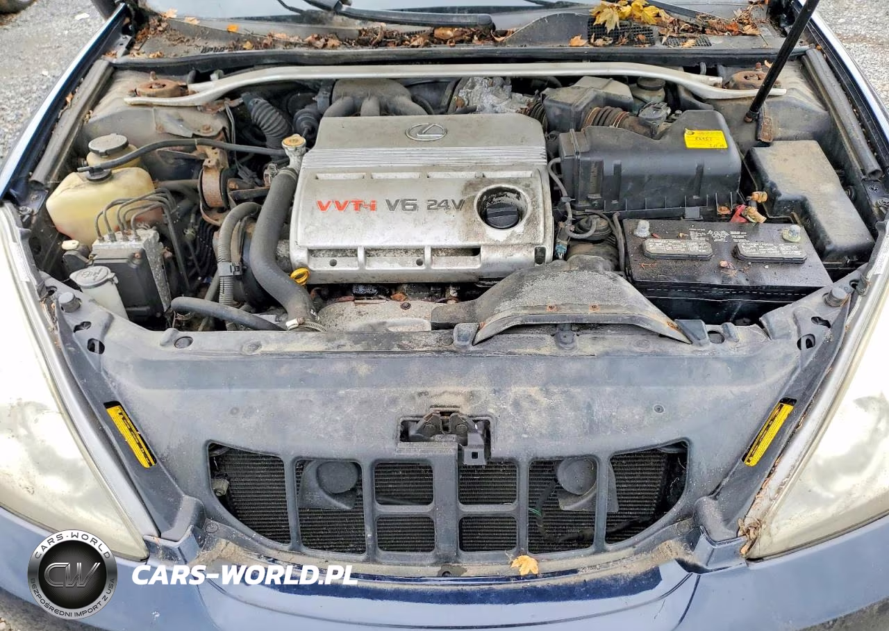 2003 Lexus Es 300 VIN:JTHBF30G536005863 - 11