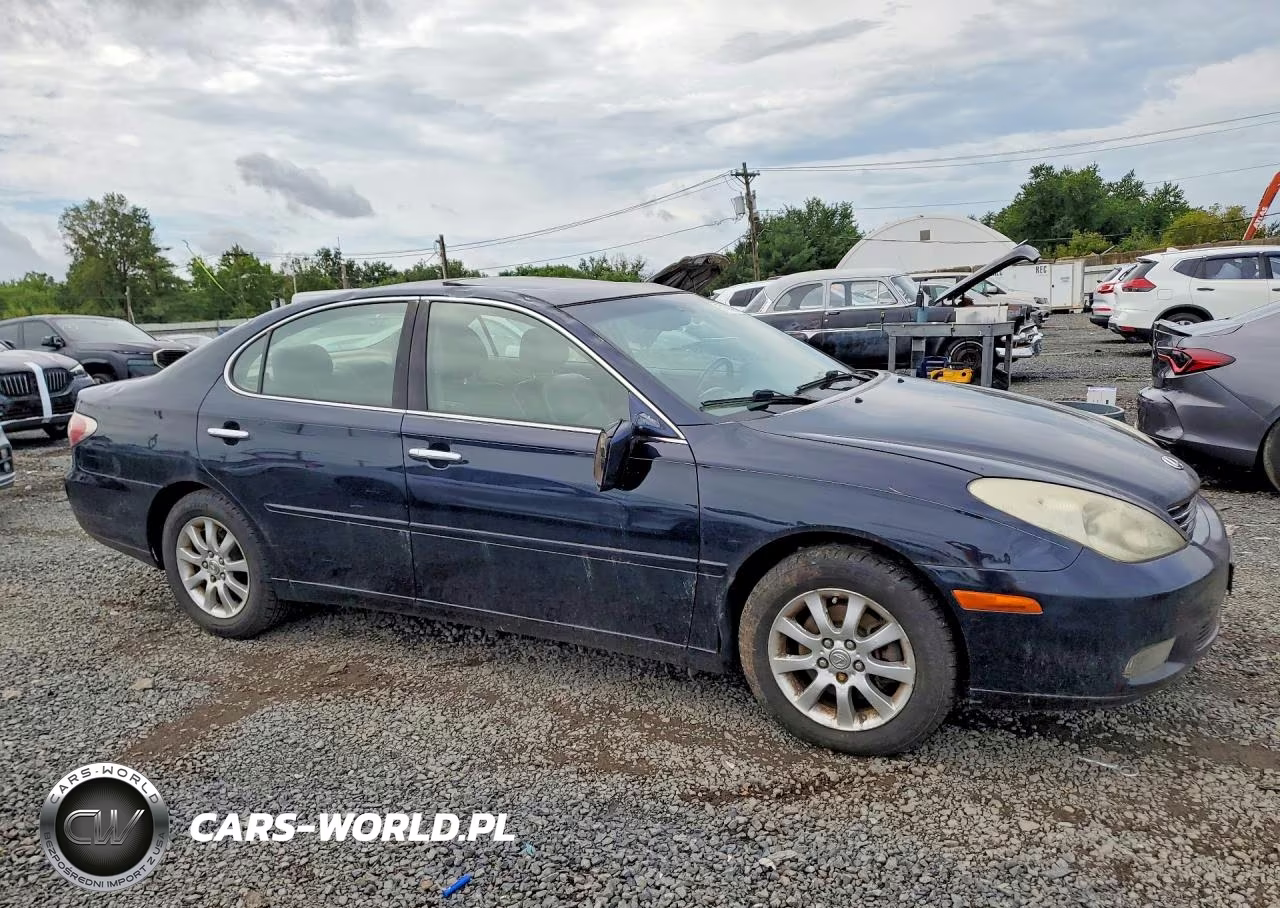 2003 Lexus Es 300 VIN:JTHBF30G536005863 - 4